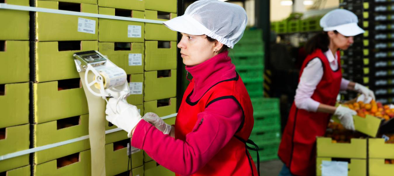 lineas de produccion mujer empaquetando